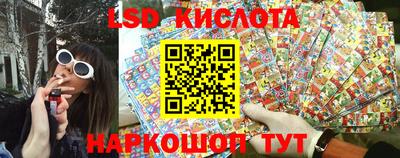 крисы Кандалакша