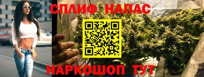 ALPHA-PVP Камышлов
