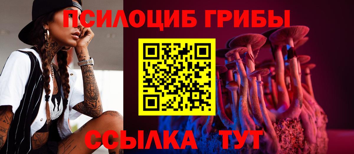 Псилоцибиновые грибы прущие грибы Кохма